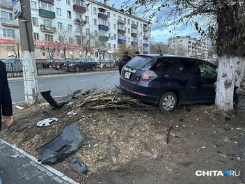 Источник: Виктория Тонких / CHITA.RU