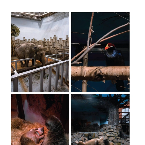 Источник: Inframemagazine.com