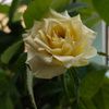 userpic__user_21122cd507