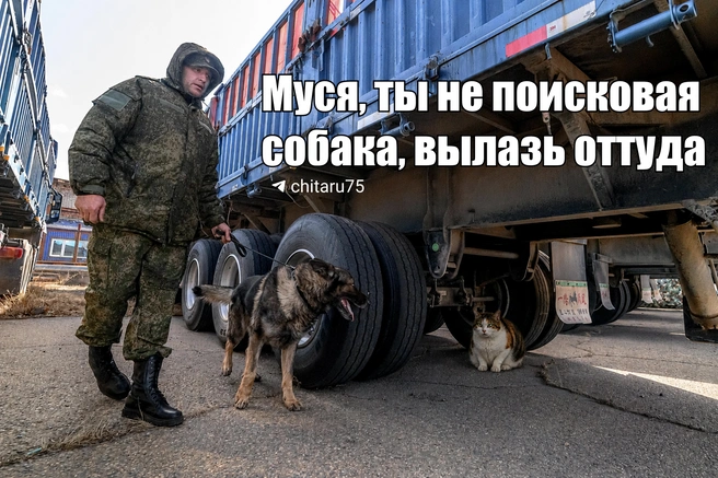 Источник: Вячеслав Палкин