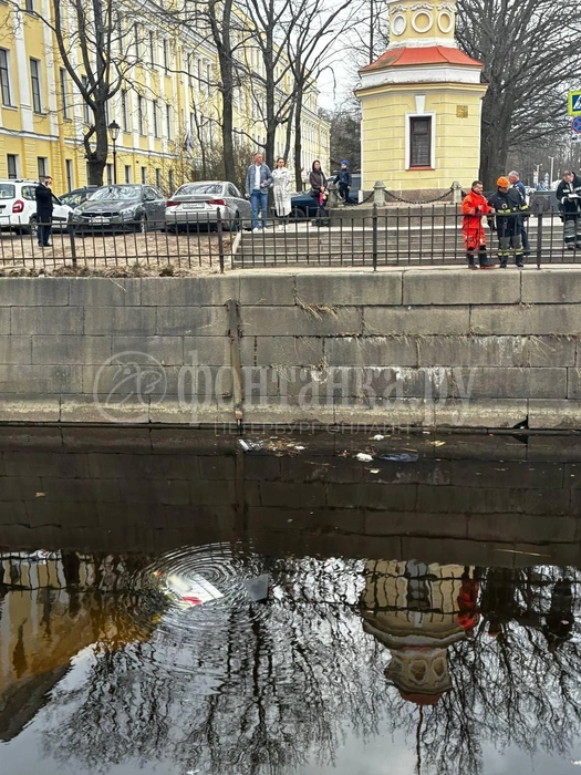 Источник: читатель «Фонтанки»