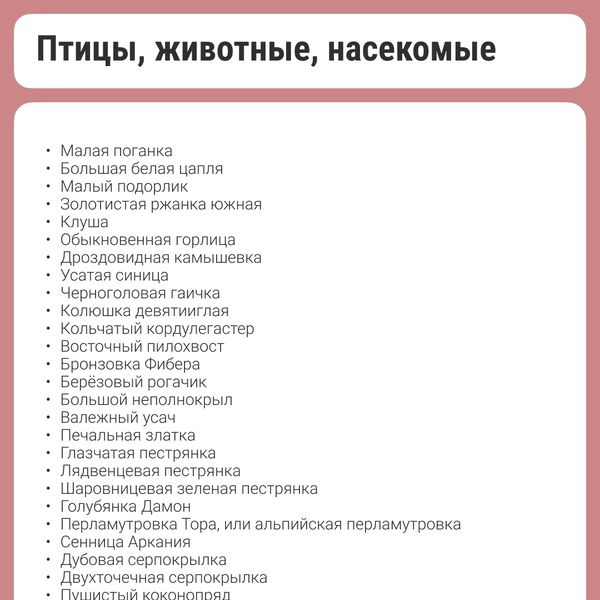 Источник: Кристина Калинина / NN.RU
