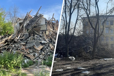 Развалины дома в Ярославле привлекли крыс, жители требуют уборки