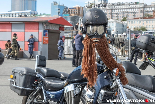 Источник: Елена Буйвол / VLADIVOSTOK1.RU