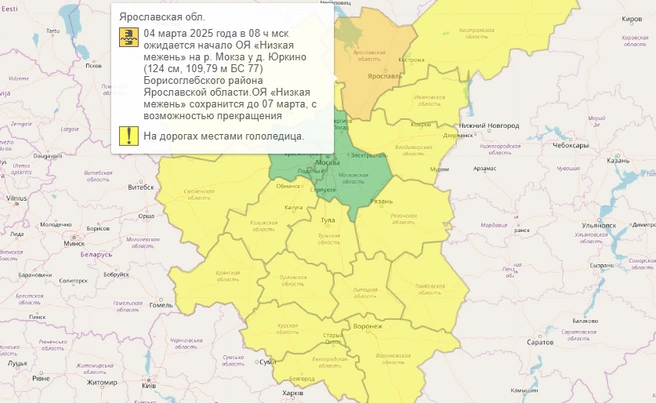 Жителей Ярославской области предупредили о гололедице и мокром снеге | Источник: Гидрометцентр России
