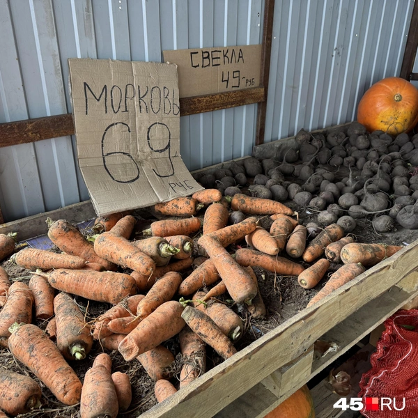 Морковь и свекла местного урожая  | Источник: Юлия Король / 45.RU