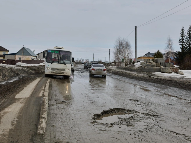 Наиболее проблемный участок дороги планируется отремонтировать в летний период текущего года. | Источник: Александр Ощепков / NGS.RU
