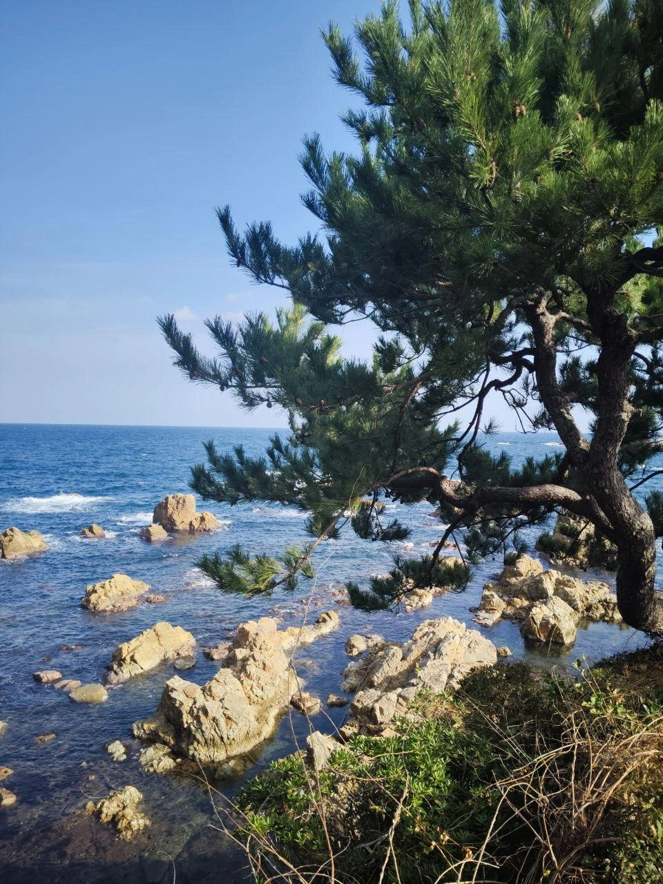 Ноябрь в Японии — время не туристическое, но этим соображением девушка и руководствовалась, выбирая даты поездки: Полина не любитель смотреть на красоты природы и архитектуры из-за чужих спин | Источник: Полина Захарова