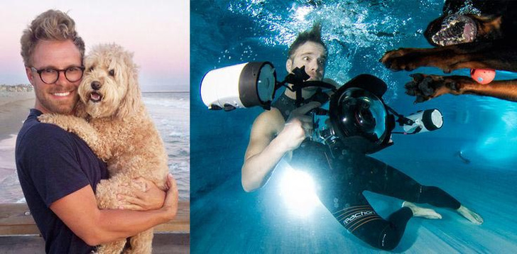 Самые смешные снимки собак под водой фотографа Сета Кастила