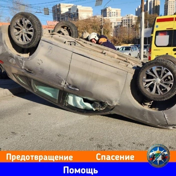 Источник: «Спасатели МАСС» / Телеграм