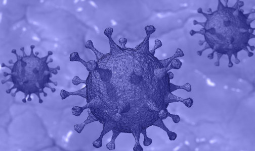 ФМБА пообещало зарегистрировать препарат против коронавируса в следующем году