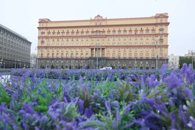 Москвичи поссорились из-за пластикового лавандового поля на Лубянке