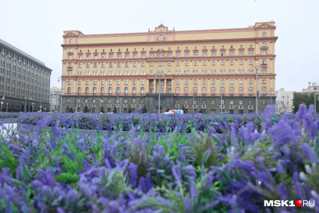 Рассказываем, что не так с лавандовым полем, которое появилось в центре Москвы | Источник: Артем Устюжанин / MSK1.RU