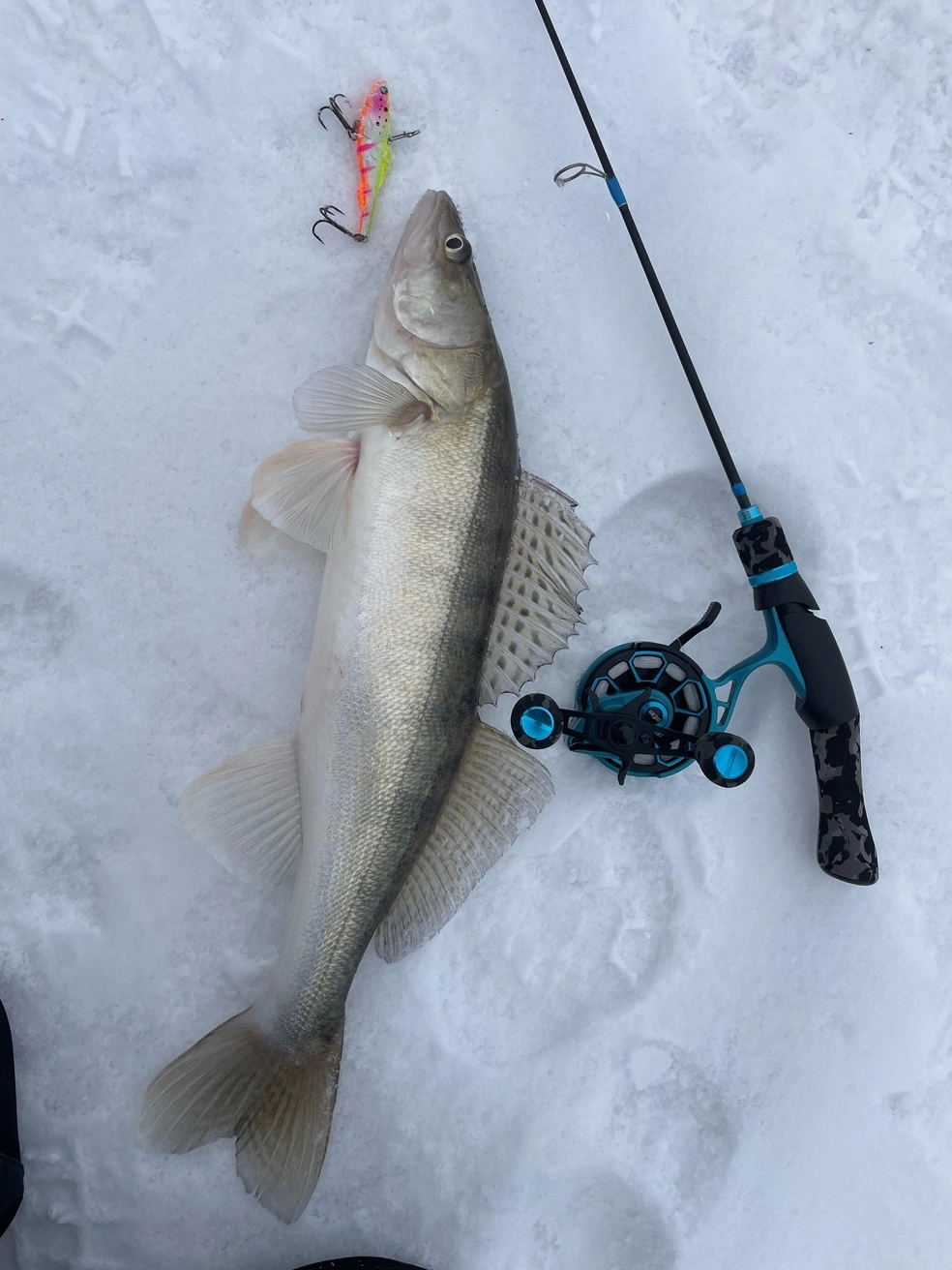 В тюменских водоемах можно поймать леща, плотву, ерша, окуня, щуку, судака и налима | Источник: Ислам Джанакаев