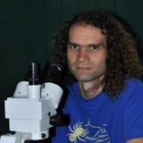 Как три хрущевки: балканские пауки сплели самую большую паутину на Земле и живут там в мире и согласии