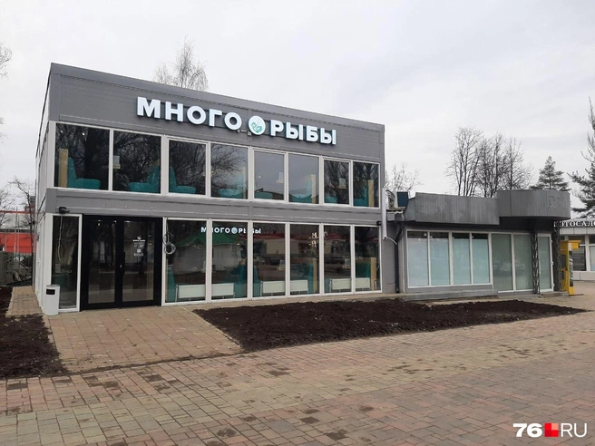 В Ярославле расторгли договор аренды под постройкой | Источник: Екатерина Лещенкова / 76.RU