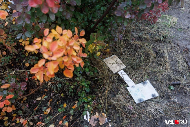 Кое-где на земле лежат поваленные таблички с фотографиями почивших животных | Источник: Алексей Волхонский / V1.RU