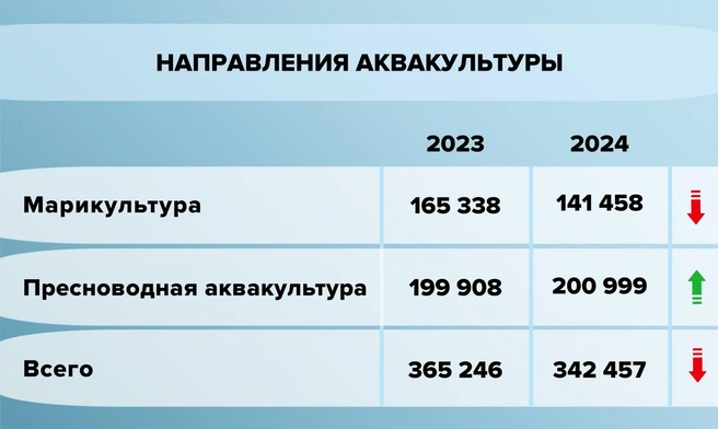 Объем и структура товарного выращивания рыбы и других объектов аквакультуры в период с 2020 по 2024 год | Источник: ВНИРО