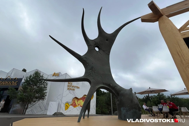 Источник: Елена Буйвол / VLADIVOSTOK1.RU