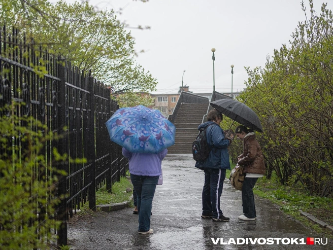 Местами в республике может пройти ливень | Источник: Елена Буйвол / VLADIVOSTOK1.RU