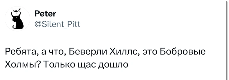 Источник: X (Twitter)