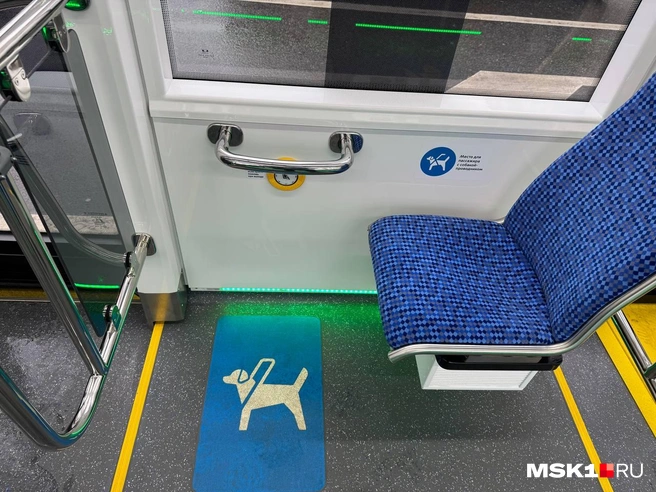 Источник: Игорь Мещанев / MSK1.RU