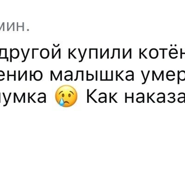 Источник: Софья Шмакова / Vk.com