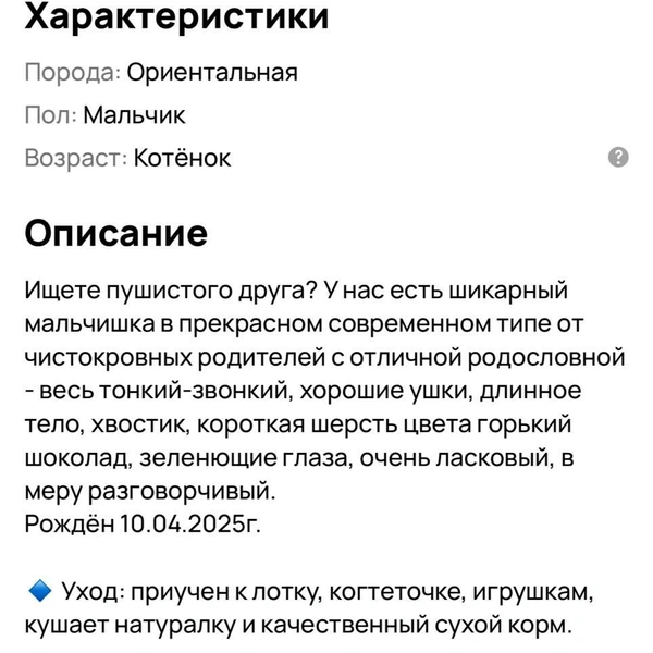 У эих котят собраны не все документы  | Источник: сайт бесплатных объявлений