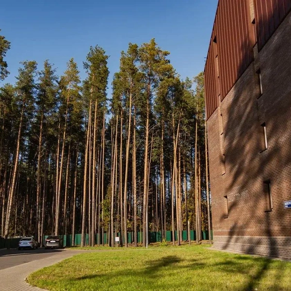Покупателям доступны разнообразные планировки&nbsp;— от стандартных квартир до двухуровневых с террасами | Источник: жилой квартал «Ботаника»