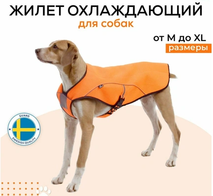 5. Охлаждающая попона для собак