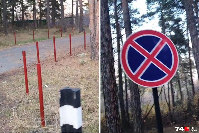 Поможет ли это от стихийных парковок? | Источник: читатель 74.RU