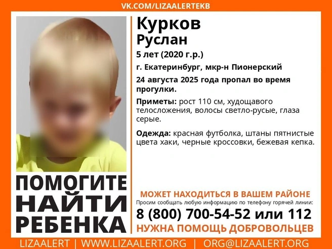 Источник: поисковый отряд «ЛизаАлерт»