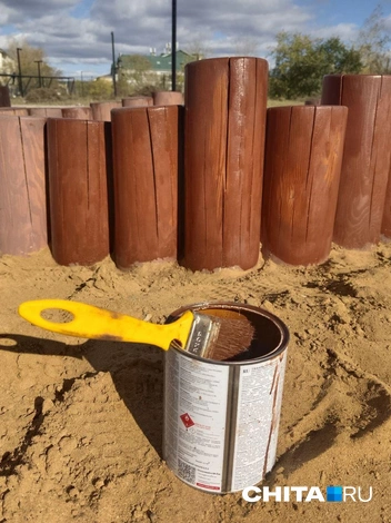 Источник: Любовь Никитина / CHITA.RU