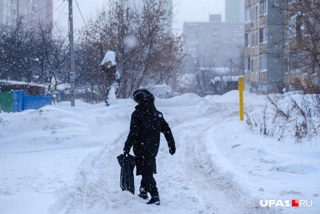 Веселой походкой с полным пакетом покупок | Источник: Булат Салихов / UFA1.RU