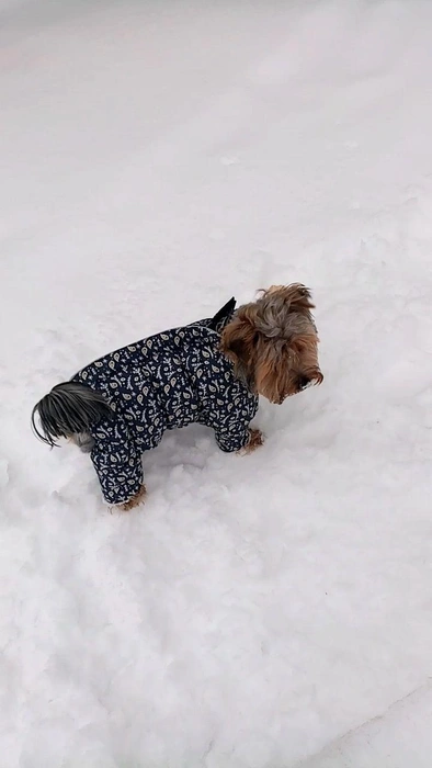 Источник: читательница НГС 