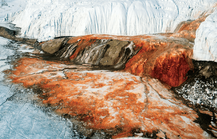 Кровавый водопад: тайну красного ледника в Антарктиде раскрыли 112 лет спустя