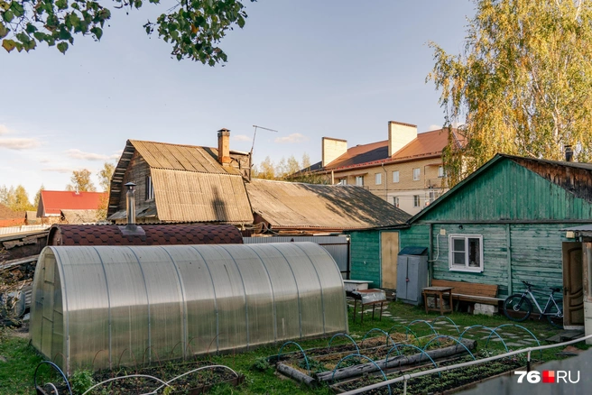Под окнами многоквартирных домов стоят огороды | Источник: Кирилл Поверинов / 76.RU