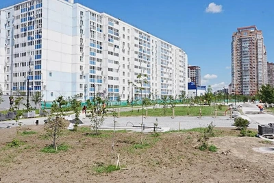 В Хабаровске на дамбе Южного округа появится декоративный парк