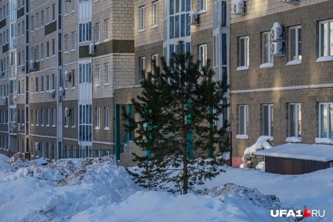 У кого-то одинокая елка под окном | Источник: Булат Салихов / UFA1.RU