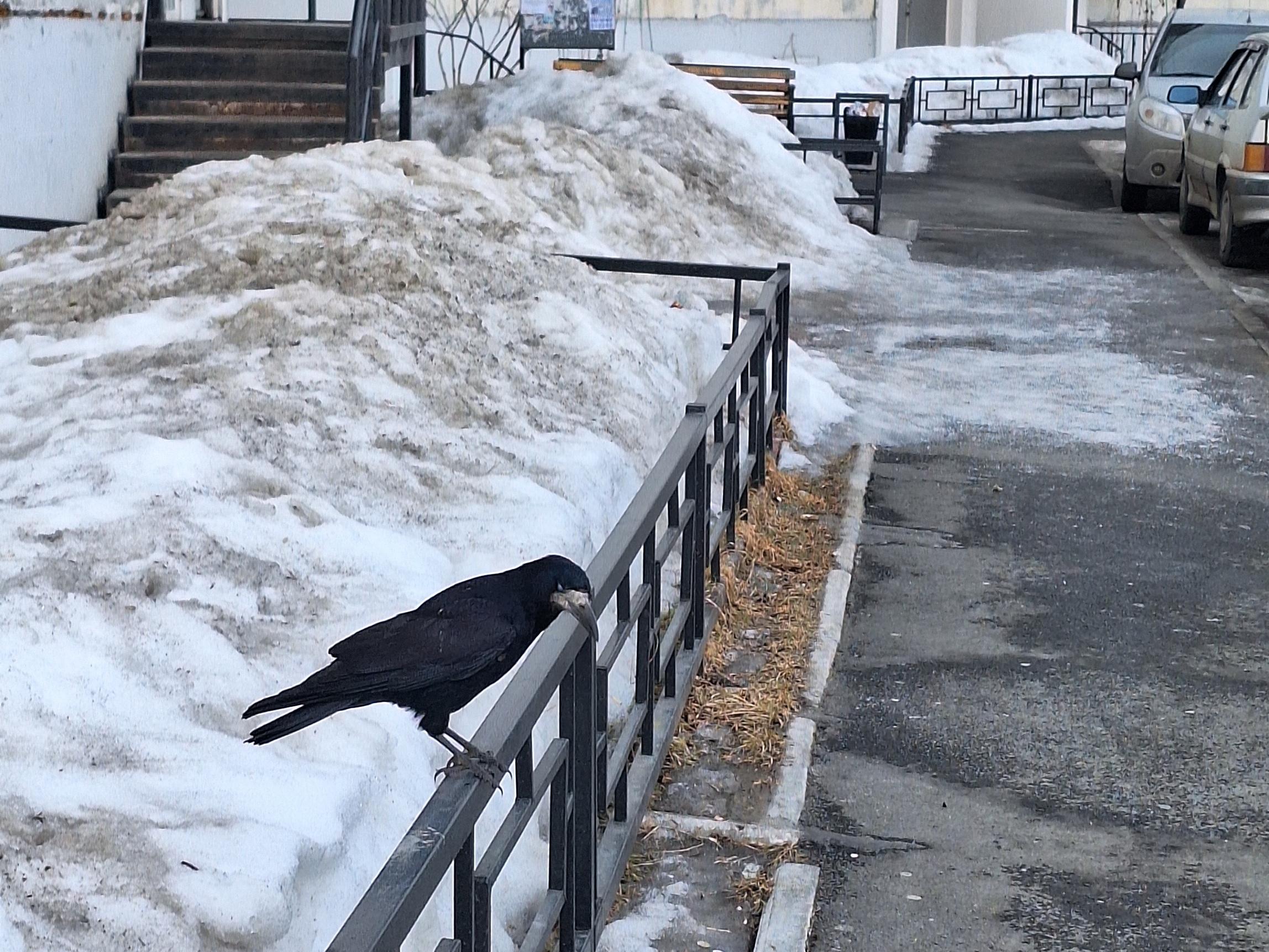 Курганцев ждут перепады температур и аномальное тепло