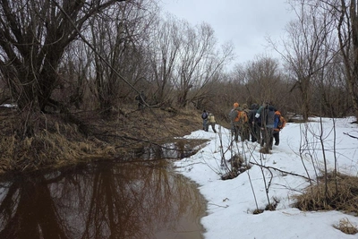 Школьница пропала после экзамена в Архангельской области