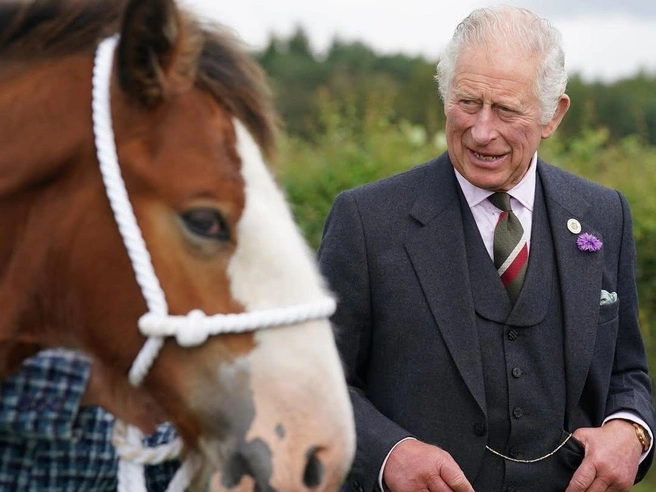 Король только год назад возродил традицию «монарх в седле» | Источник: clarencehouse / Instagram (экстремистская организация, деятельность запрещена на территории РФ)