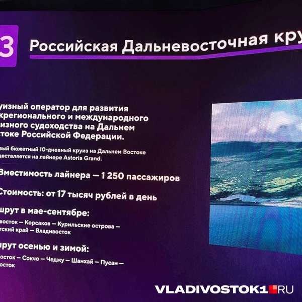 Источник: Алиса Князева / VLADIVOSTOK1.RU