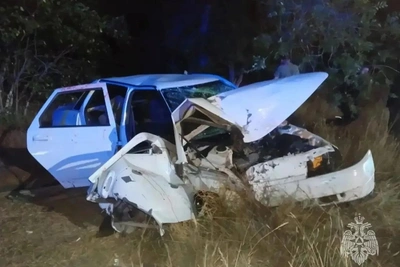 В Домбаровском районе ВАЗ-2110 врезался в дерево, пострадали два человека