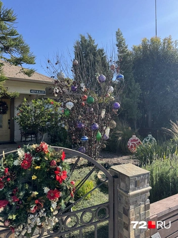 Источник: читатель 72.RU