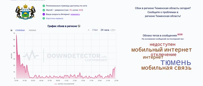Фиксировать массовые сбои начали после десяти вечера. В течение дня было не так много | Источник: downdetector.su