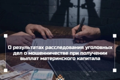 В Карелии осудили участников схемы с маткапиталом