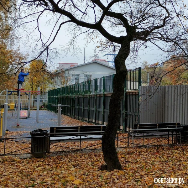 Источник: Михаил Огнев / «Фонтанка.ру»