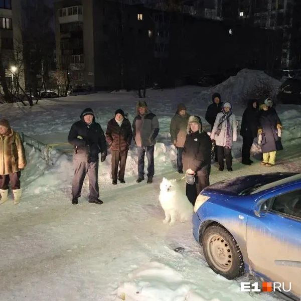 Источник: «Ночные Новости»