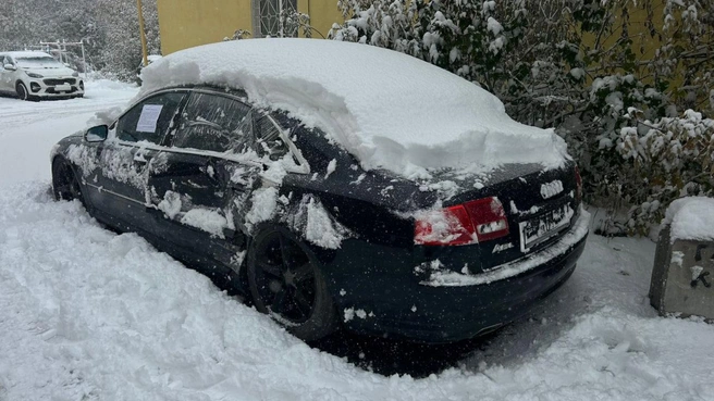 Так выглядит брошенная «Ауди» | Источник: мэрия Новосибирска